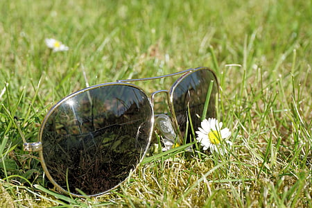 l'estiu, sol, ulleres de sol, relaxació, vacances, herba, natura