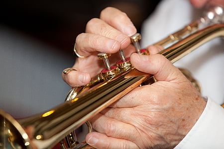 music, brass, instrument, hands, trumpeter, musiciant, musical Instrument