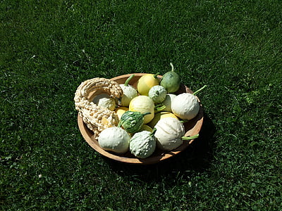 gourds, høst, Harvest, høst, grønn, sesongmessige, sesongen