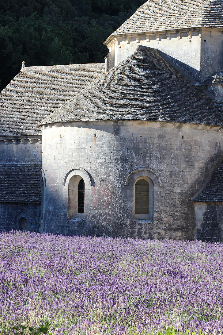 france, provence, lavender, field, building, history, monastery