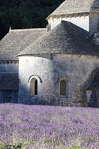 Francie, Provence, levandule, pole, budova, Historie, klášter