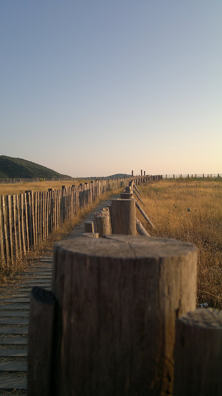 calm, beach, corsican, wooden path, wooden bridge, meadow, evening
