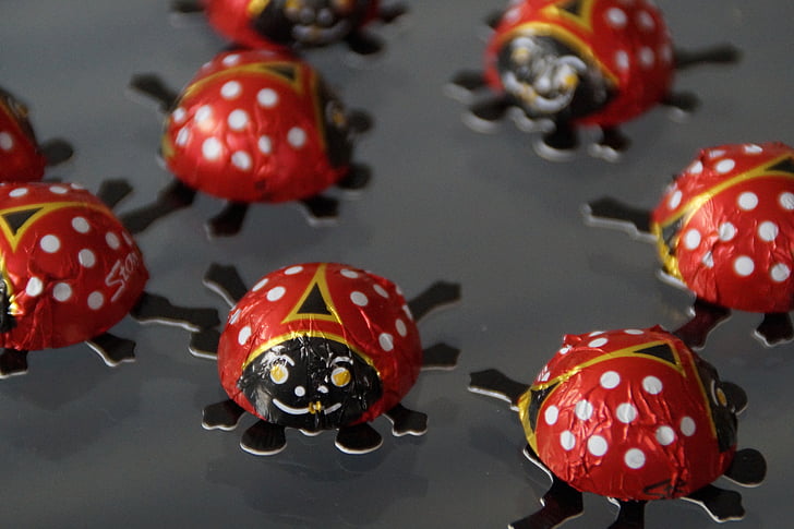 bille, Ladybug, Lucky ladybug, dekorasjon, sjokolade bille, flaks, Hilsen