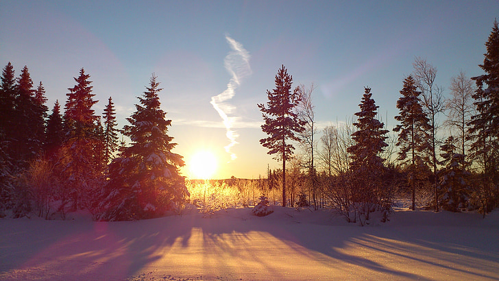 pozimi, sončne, sneg, pokrajine, Västerbotten, podeželje