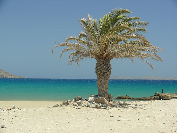 Crète, palmiers, plage, Dim, mer, ombre, Palm
