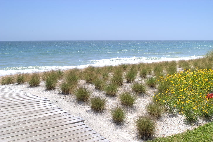 stranden, Florida, soligt, semester, Ocean, Sand, vatten