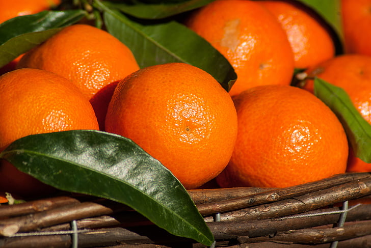 fruits, clémentines, agrumes, mandarines, couleur orange, orange - fruits, nourriture et boisson