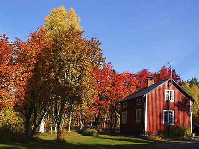 το φθινόπωρο, χρώματα, Rowan, εξοχικό σπίτι, μπλε, himmel, φύση