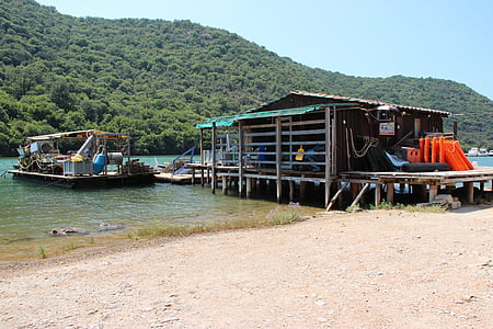 oester shack, Bay, inlaat, kust, visserij, huis, nautische
