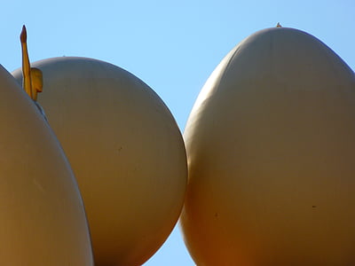 ovo, bola, Figura, Museu, Figueras, dali, Espanha