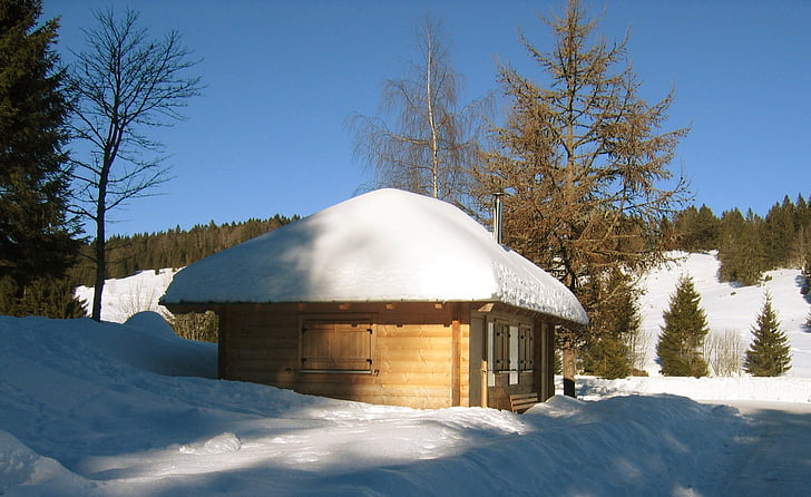 cabana, telhado, Inverno, neve, floresta negra, banco, árvores