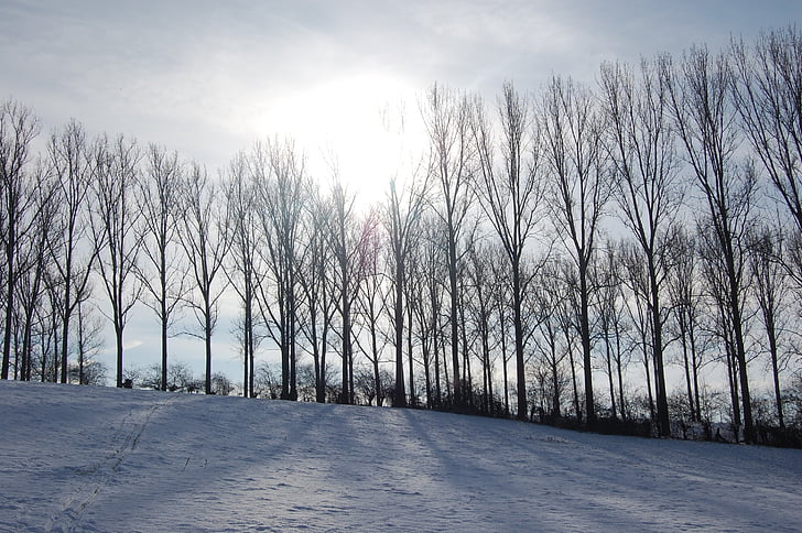 Zimná krajina, sneh, Príroda