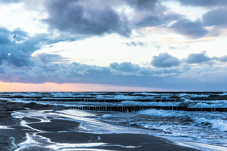 Mar Báltico, mar, hacia adelante, naturaleza, agua, ola, Playa