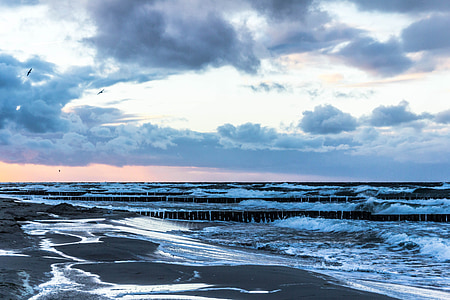 Östersjön, havet, framåt, naturen, vatten, våg, stranden