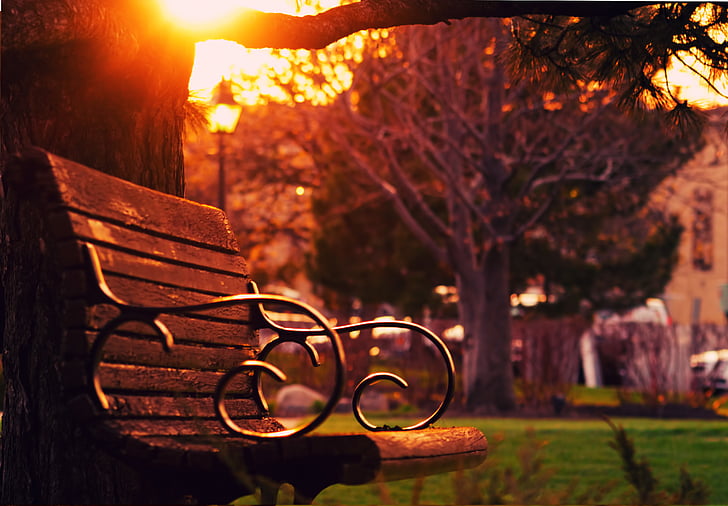 bench, dawn, dusk, outdoors, park, sun glare, sunrise