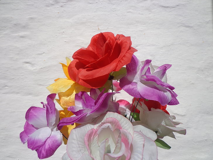 color full, floral, plant, natural, blossom, bloom, petal