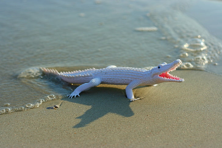 prop, alligator, toy, beach, sand, wave