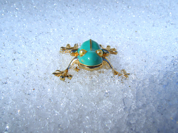 frog, turquoise, snow, gold, the structure of, jewel, animal