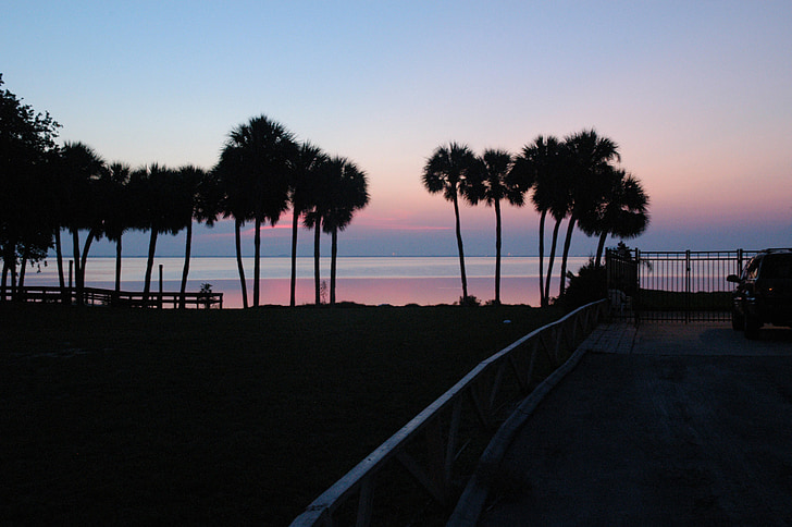 soluppgång, Florida, kusten, södra, resor, Tropical, solnedgång