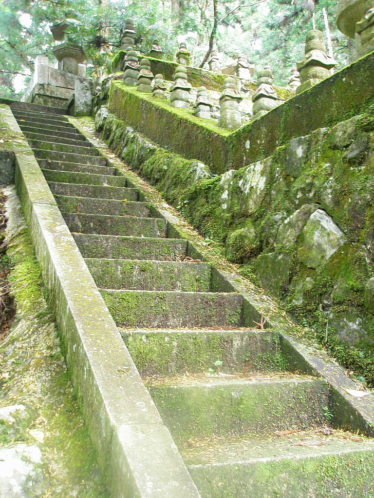 stopnice, mah, zelena, stari, starodavne