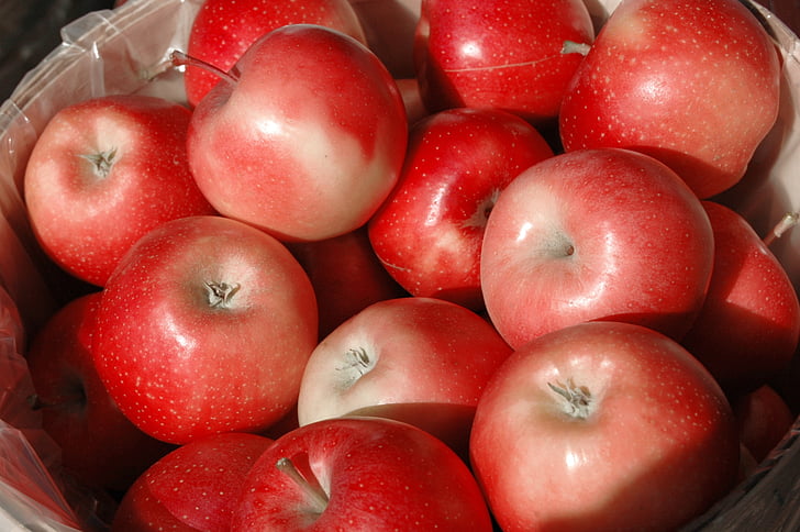 яблоки, Осень, красный, урожай, сезон, День благодарения, фруктовый сад