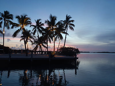palmbomen, silhouet, zonsondergang, evenementen, Florida, toetsen