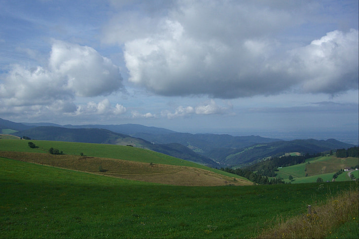 rapportert, fjell, Schauinsland, münstertal, Schwarzwald, himmelen, blå