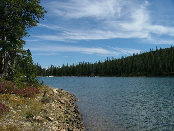 Lake, metsa, Kalastamine, rahulik, Scenic, mägi, Mountain lake