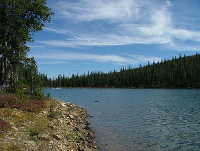 Lake, skog, fiske, sted, naturskjønne, fjell, fjell innsjø