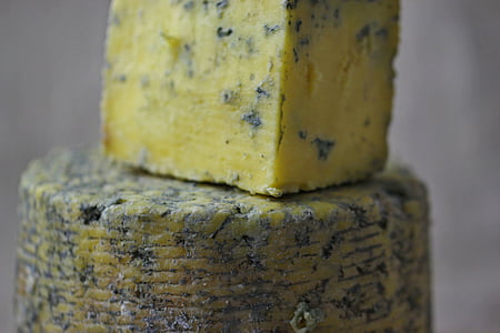 brânză, albastru, mucegai, acasă, producţie, produse alimentare