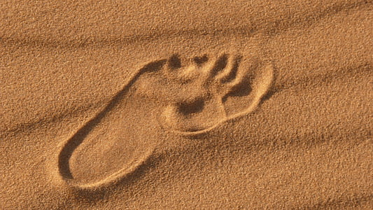 woestijn, voetafdruk, voet, zand