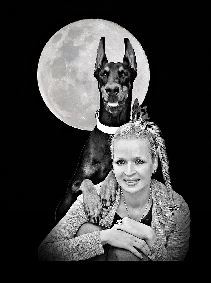 місяць, Доберман, собака, Дружба, жінка, тварини, чорно-біла