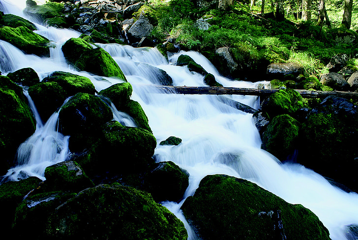 natureza, Cachoeira, Pyrénées