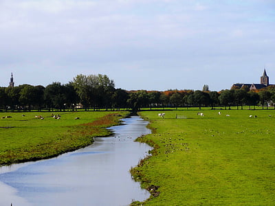 Nīderlande, ainava, straume, ūdens, laukos, zāle, augi