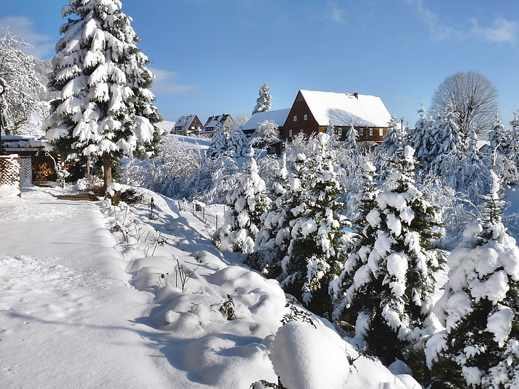 зимни, saupsdorf, саксонска Швейцария, зимни, бяло, студено