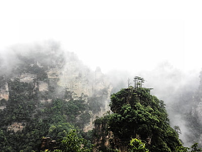 Zhangjiajie, skyer, Summer hill, Mountain, tåge, natur, skov