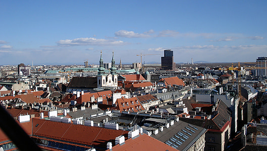 vienna, city, roofs, city view, view