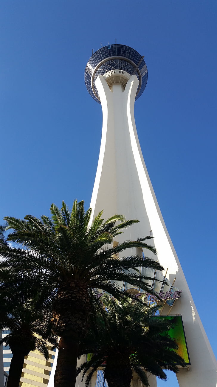 Las Vegasissa, Vegas, Stratosphere, Tower, kuuluisa, Casino, Palm
