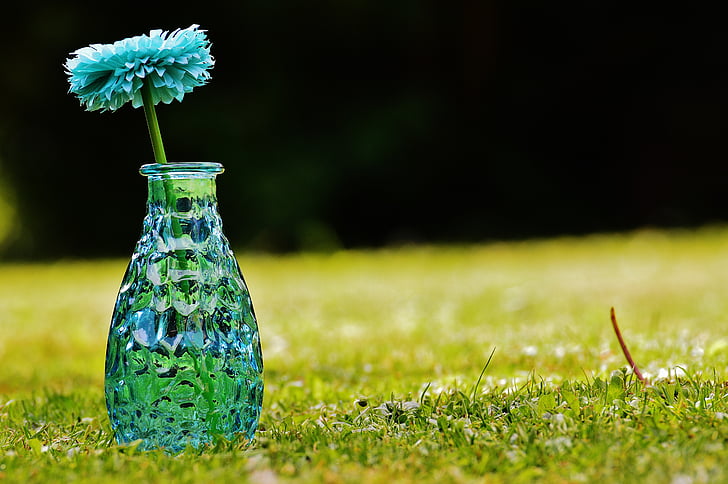 vaza, sticlă, floare, decor, albastru, transparente, Deco