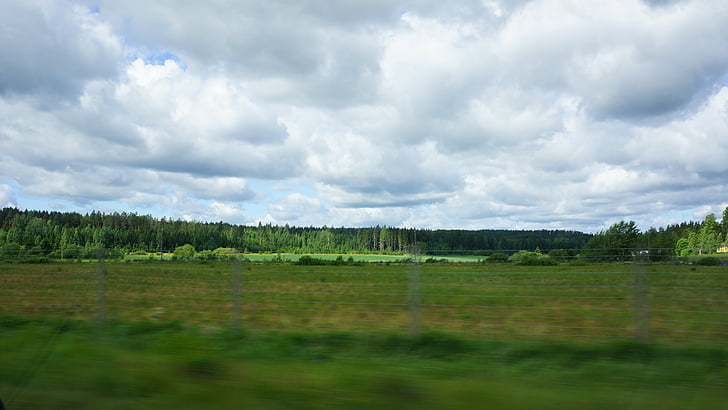 finsk, på veien, grønn, felt, skog, skyer, rate