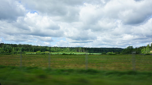 Finnois, sur la route, vert, champs, Forest, nuages, taux