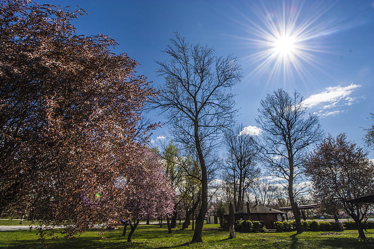 Zagreb, Jarun park, lyse, solfylte, lys, natur, solen