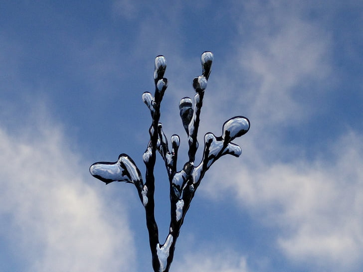 chi nhánh đông lạnh, bầu trời, Frost, băng, màu xanh, đông lạnh