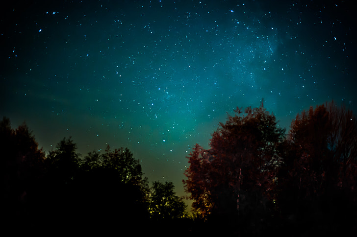 milky way, star, night, starry sky, space, galaxies, forest