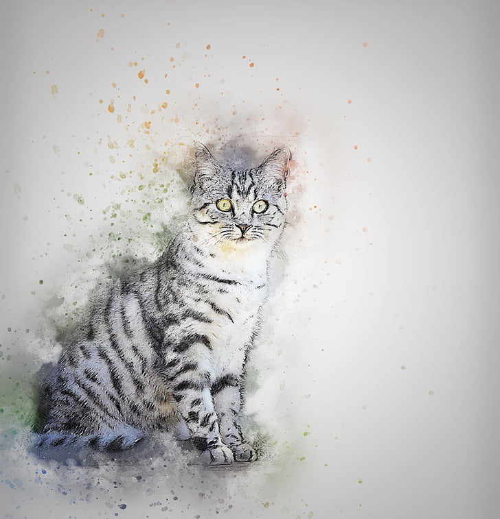cat, pet, white, art, abstract, vintage, watercolor