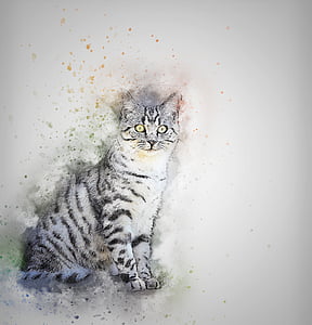 katten, kjæledyr, hvit, kunst, abstrakt, Vintage, akvarell