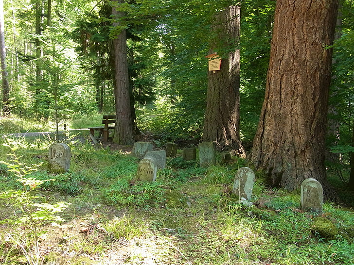 dogs, animals, grave, graves, rest, forest, grave stones