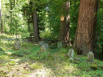 psi, životinje, grob, grobovi, ostalo, šuma, nadgrobne stele