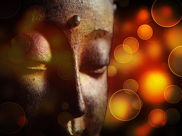 Buddha, India, ånd, bønn, konseptet, buddhistiske, buddhisme