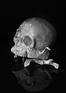 skull, horror movie, broken, human, black and white, reflection, b w photography